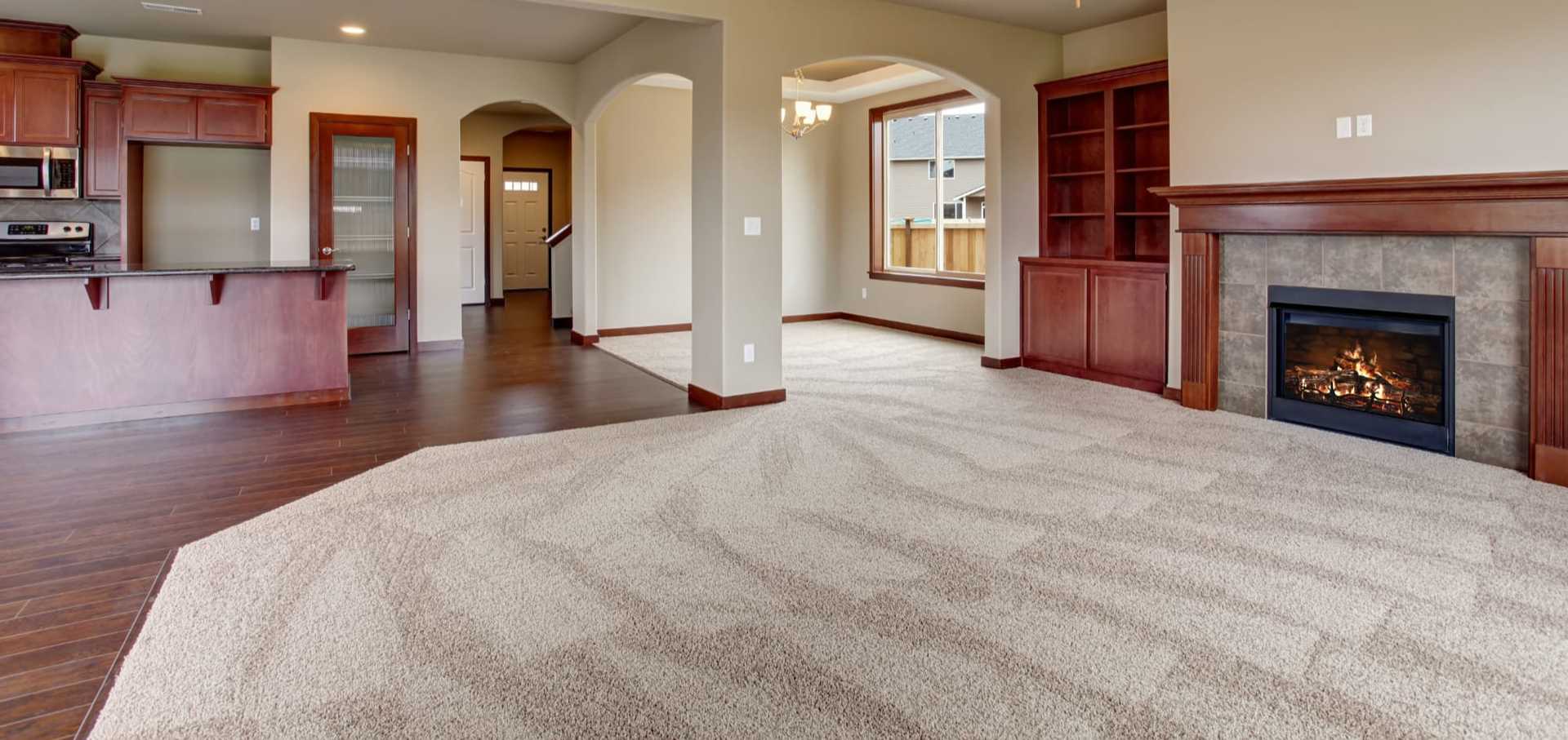 Living room with carpet